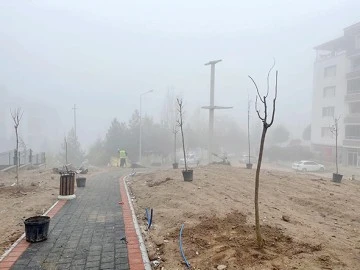 YENİ PARKLARA FARKLI T&Uuml;RDEN AĞA&Ccedil; DİKİMİ YAPILDI