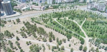 YEŞİLLİKLERİN KORUNMASI ADINA ALTERNATİF &Ccedil;&Ouml;Z&Uuml;MLER &Uuml;RETİLİYOR